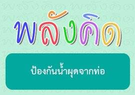 ป้องกันน้ำผุดจากท่อ พารามิเตอร์รูปภาพ 1